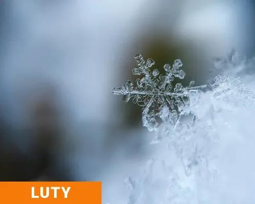 Podsumowanie lutego 2024 - kolejne sukcesy centrum!