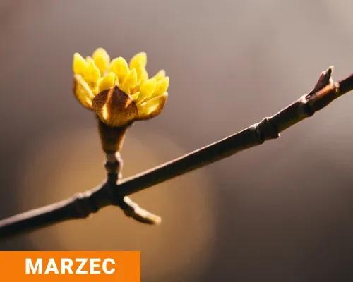 PODSUMOWANIE MARZEC 2024